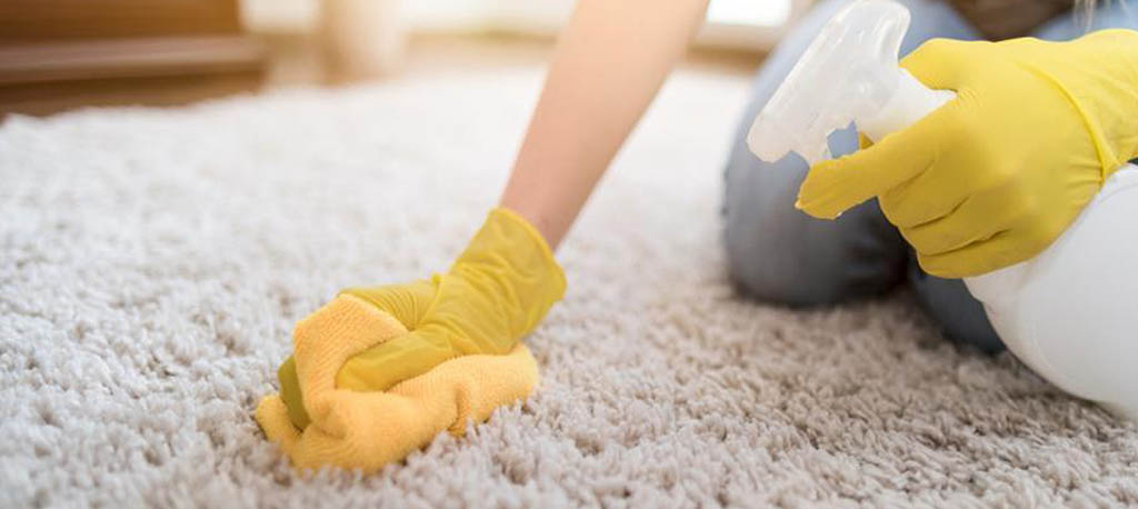 Как часто нужно чистить ковры?